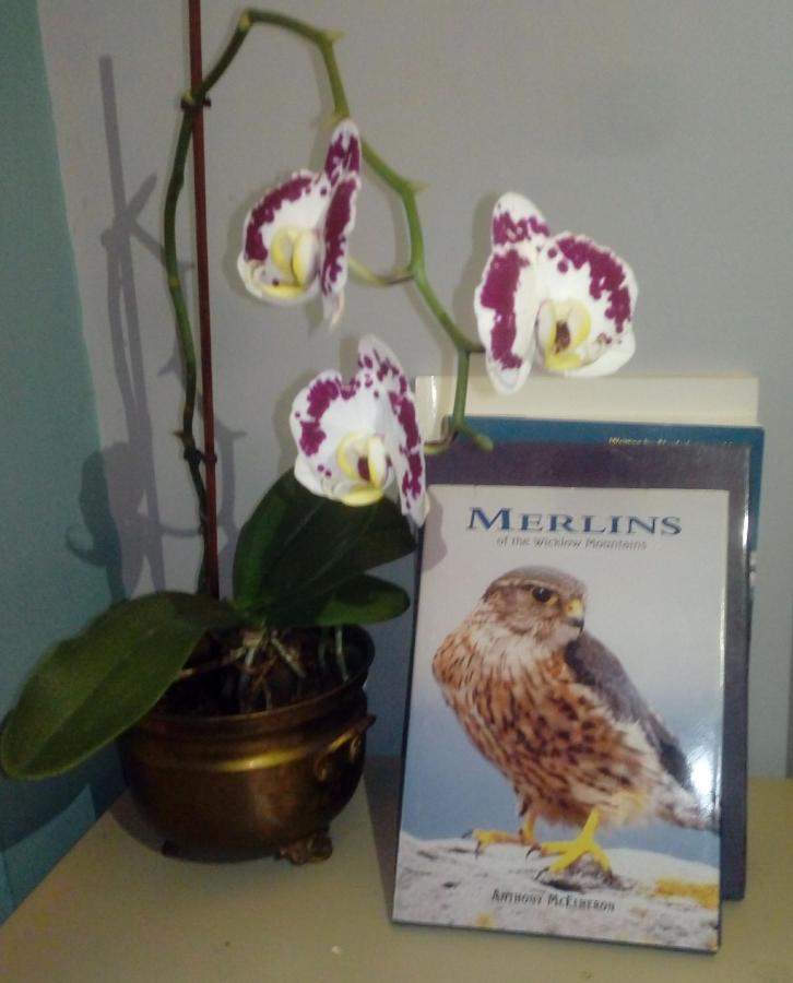 Mulberry Lodge ブラーニー エクステリア 写真